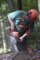 Click to see it big Ich mit Kettensäge, Impression aus dem Wald